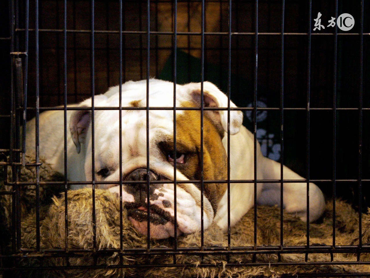 特别毁三观却又真实的词语,三观不合的词语
