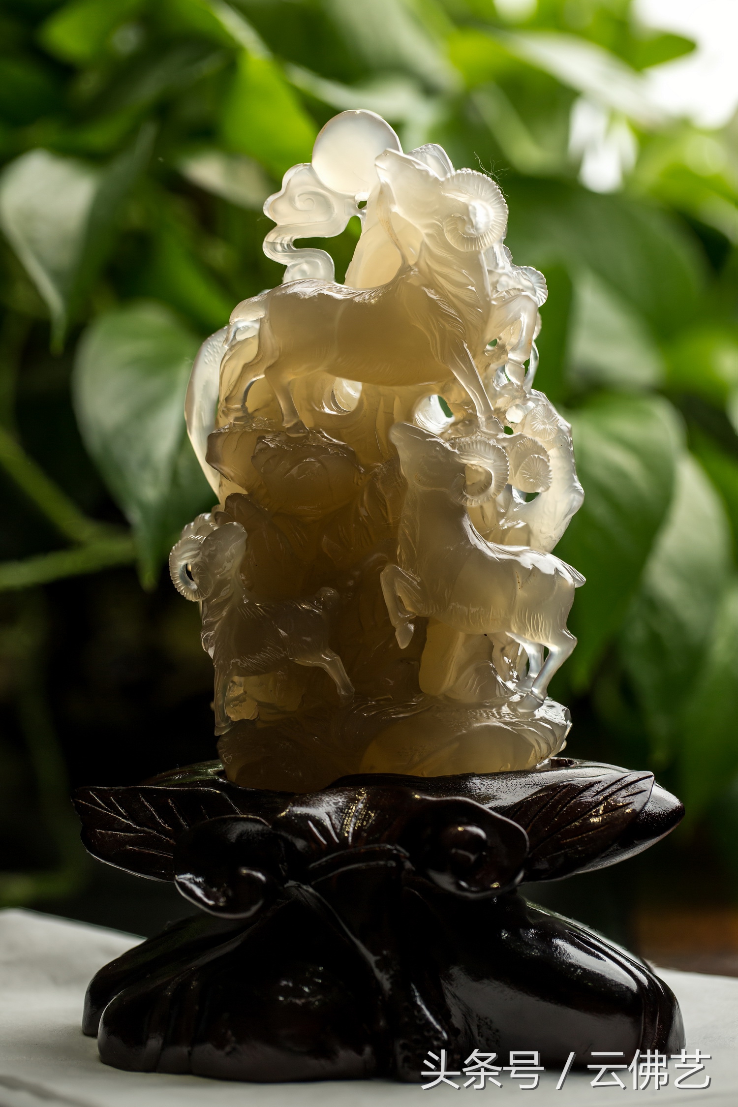 大同特产丸子面,大同特产去哪里买便宜