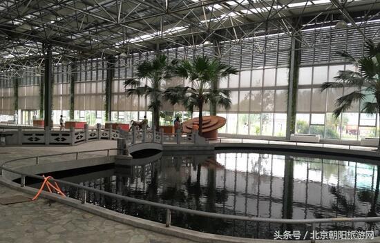 蟹岛亲子游攻略视频教程,蟹岛游玩