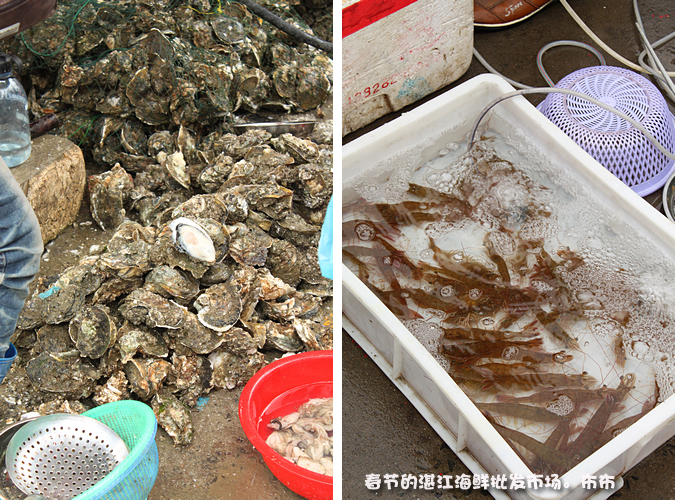 湛江本地人都爱去的地方,湛江一个人去的景点有哪些