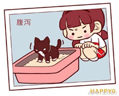 乌梅丸治拉肚子吗,慢性腹泻可以服乌梅丸吗