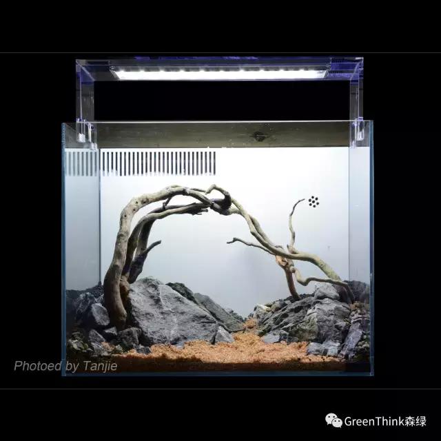 水草缸造景大师视频大全,水草造景大师