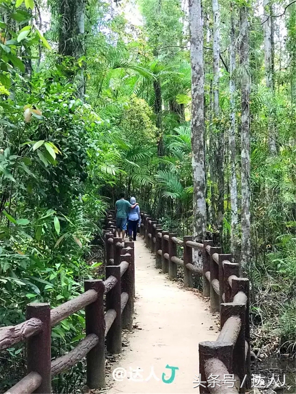 显然不适合玩婚内出轨！全泰国最大的泳池原来在这里