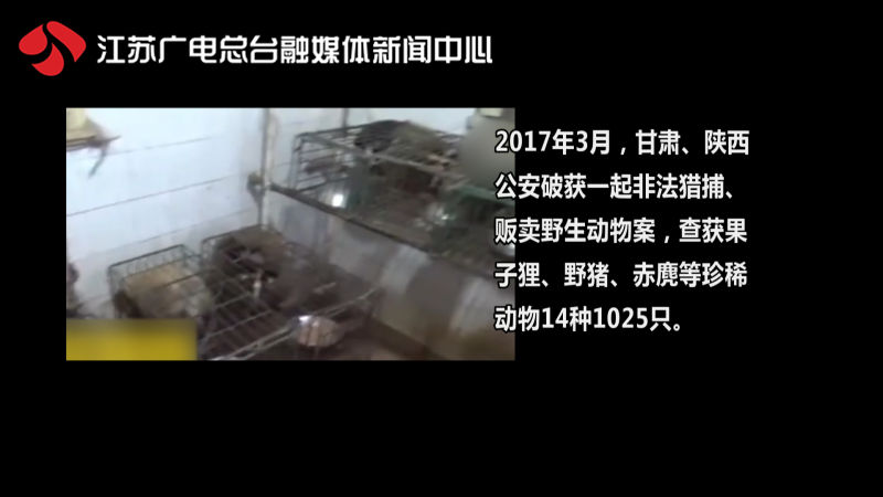 特大贩卖动物案,贩卖动物大案