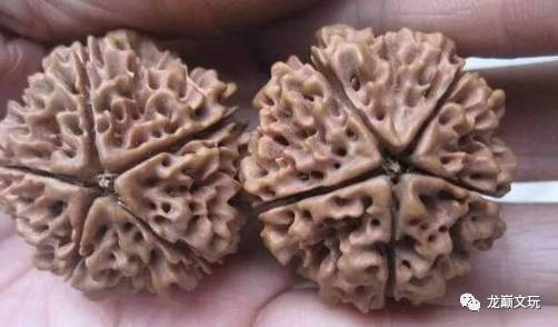 变形金刚假的冒牌货,金刚如何辨别品种和品相