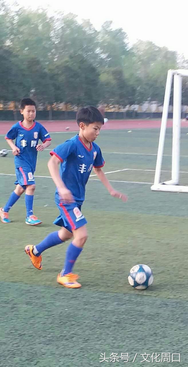 视觉周口｜正在集训的周口足球小子，看看有您认识没