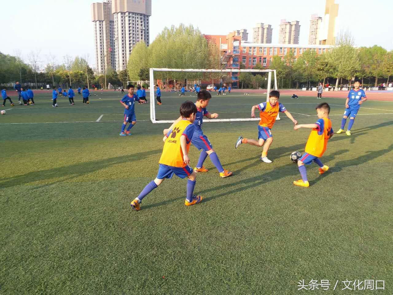 视觉周口｜正在集训的周口足球小子，看看有您认识没
