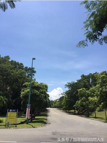 马来西亚亚庇到美人鱼岛,亚庇美人鱼岛游记