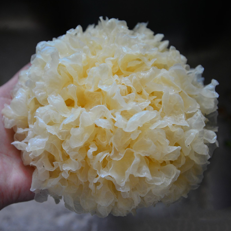 春日养生正当时,春季到来我们如何养生