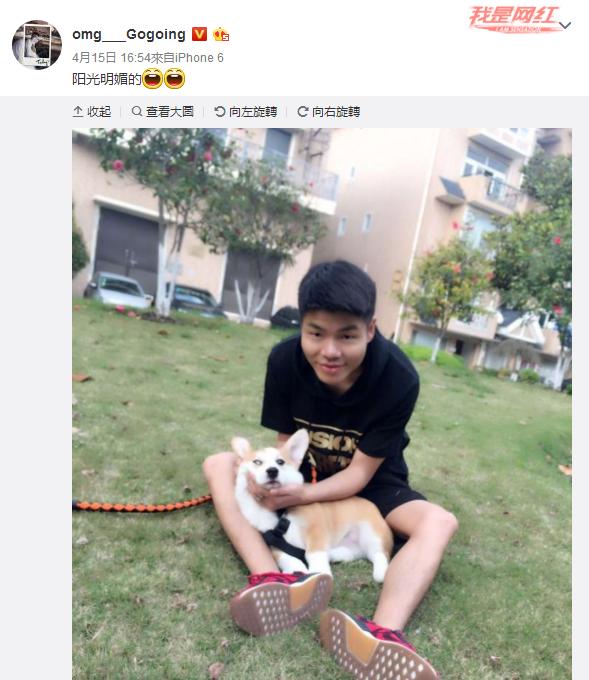 狗头鳄鱼兄弟,狗头和鳄鱼三兄弟