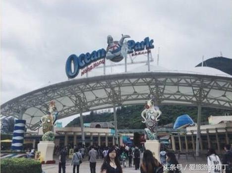 香港旅游攻略必去十大景点,香港西九龙下车后旅游攻略