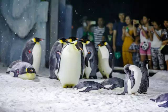 五一去广州长隆旅游攻略,五一珠海长隆旅游攻略