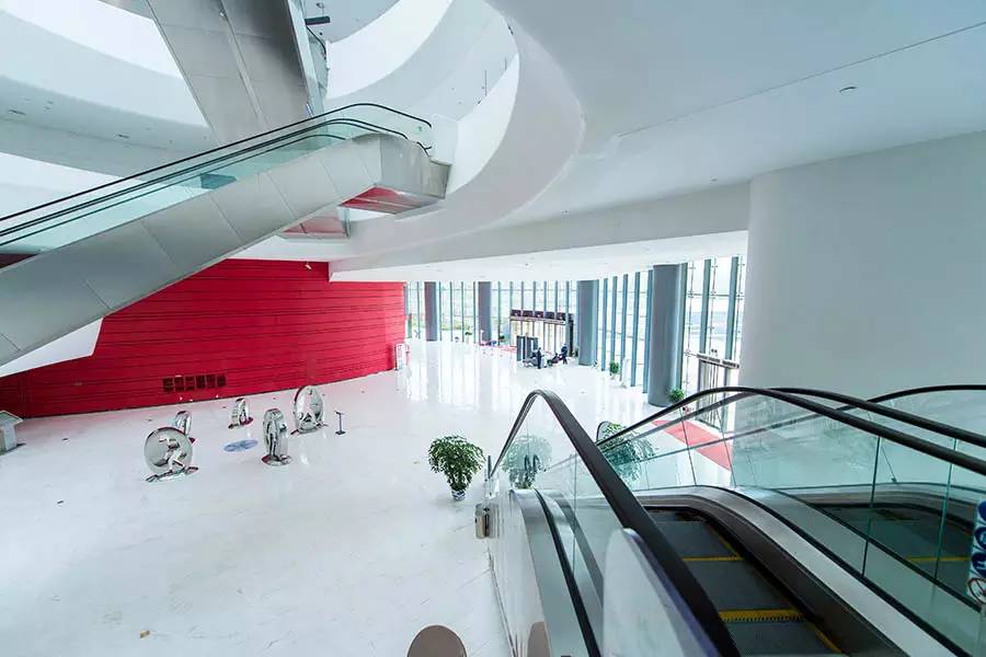 探寻人类的起源之谜,探寻人类祖先的奥秘