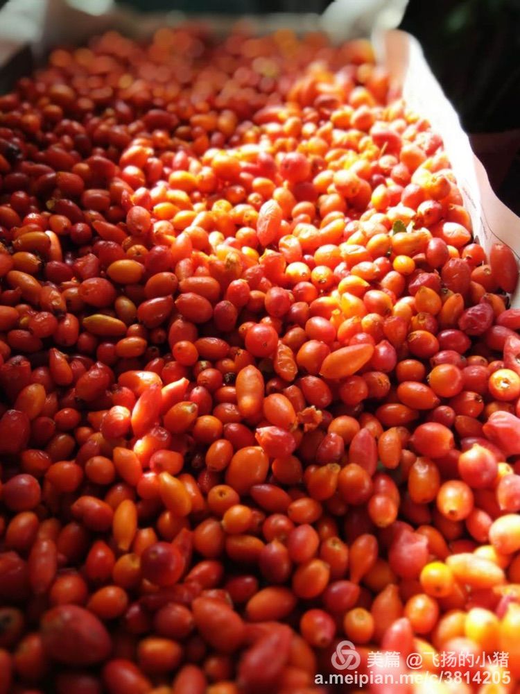 2018贝加尔湖自驾游,贝加尔湖畔自驾游全集