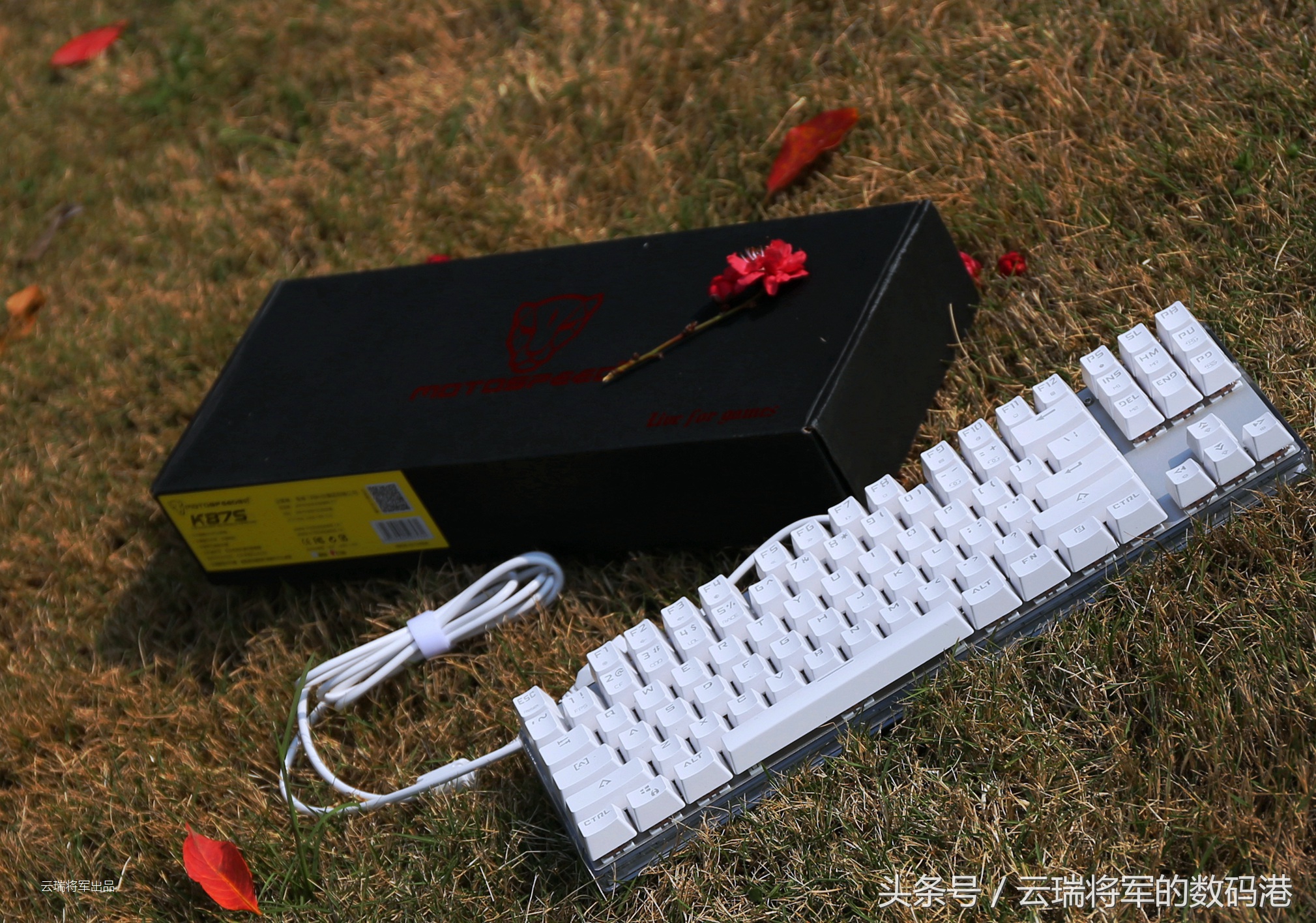 鎽╄惫閿洏k87s,鎽╄惫k87