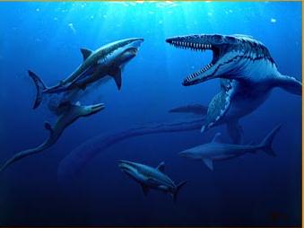 世界上有没有长相奇怪的鲨鱼,所有怪异鲨鱼的视频