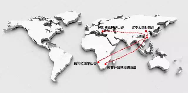 中国葡萄酒全年销售额,中国葡萄酒年销售额