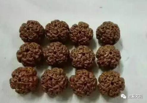 变形金刚假的冒牌货,金刚如何辨别品种和品相