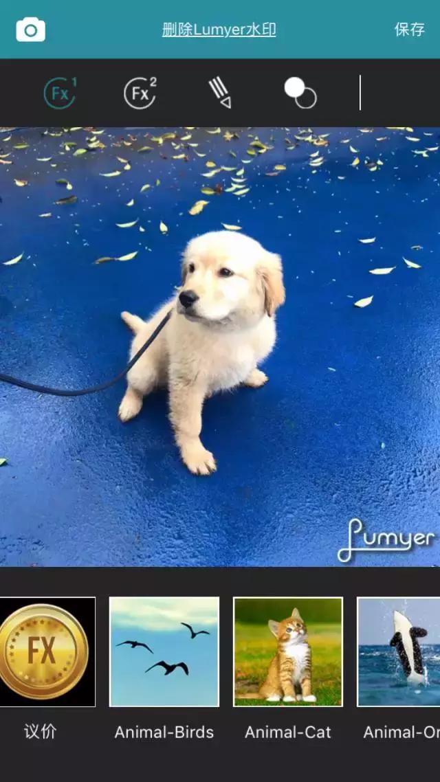 铲屎官拍同款,铲屎官的建议