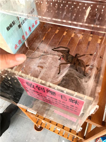 三亚自由行5天4夜最佳攻略,三亚带娃全家游自由行攻略