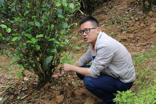 浜戝崡鍕愬簱鎴庢皬鍒惰尪涓栧,鍕愬簱鎴庢皬鍒惰尪宸ヨ壓