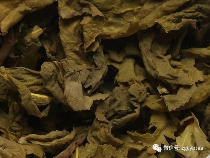 凤山铁观音和安溪铁观音,好喝的茶叶推荐铁观音