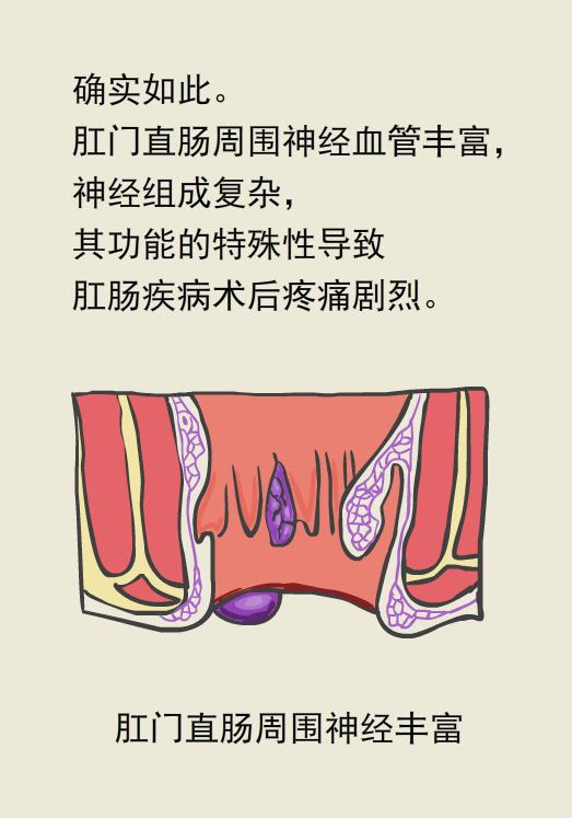 为什么痔疮手术后医生说不用换药,痔疮手术医生只做了内痔不做外痔
