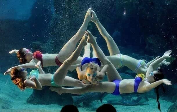 重庆适合小盆友去玩的海洋公园,重庆适合成年人玩的海洋公园推荐