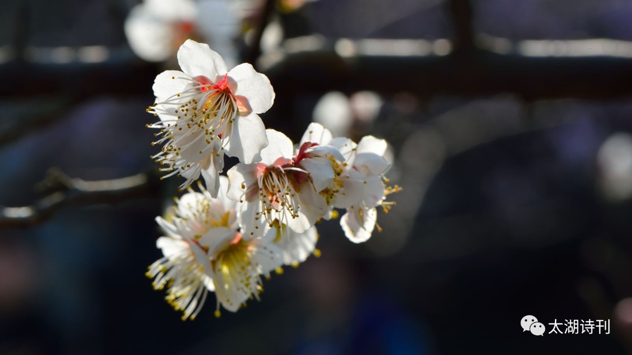 这场爱情没结果,这场爱究竟错在了何处小说
