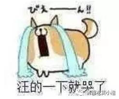 济南历下区山师东路,济南繁华的山师东路