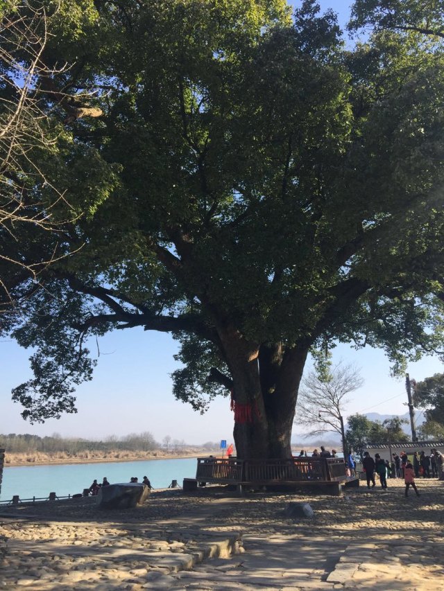 远山如黛原诗,远山如黛什么意思