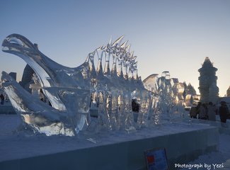 哈尔滨春节自由行,哈尔滨春节活动
