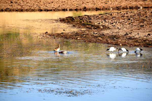 彩虹国家南非,彩虹国度南非之旅