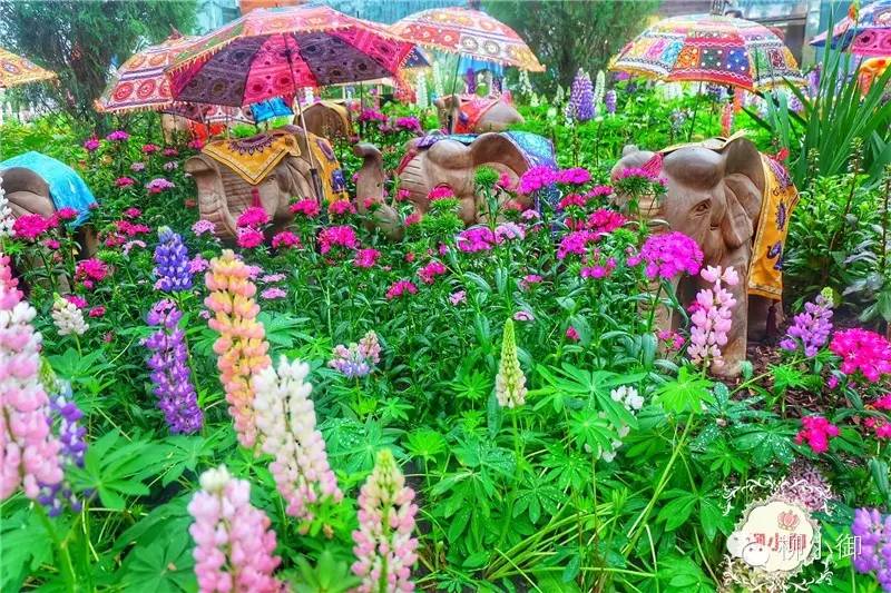 春节旅游新加坡,还能不能春节旅游去新加坡