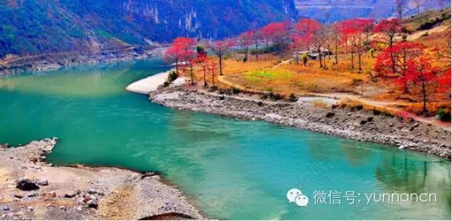 大理人去哪个省玩,大理人游西双版纳