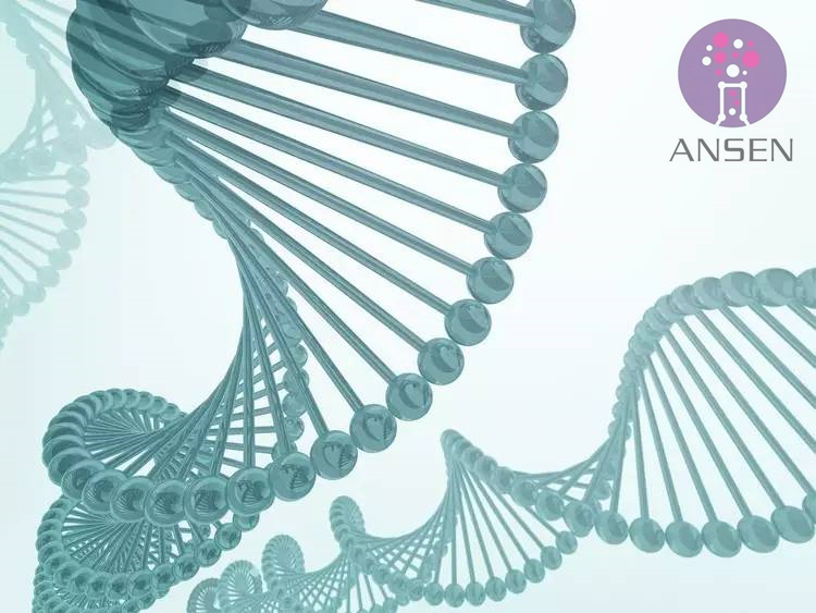 双胞胎产检无创有必要吗,双胞胎4个月产检无创是怎么做的