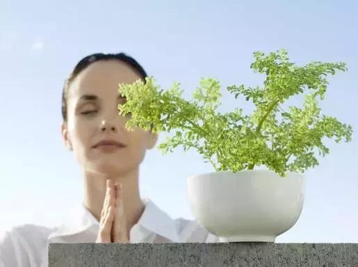 好转反应常见的四个阶段,好转反应的具体表现有哪些