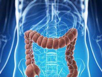 结直肠癌个体化诊疗的敲门砖——结直肠癌的分子病理学