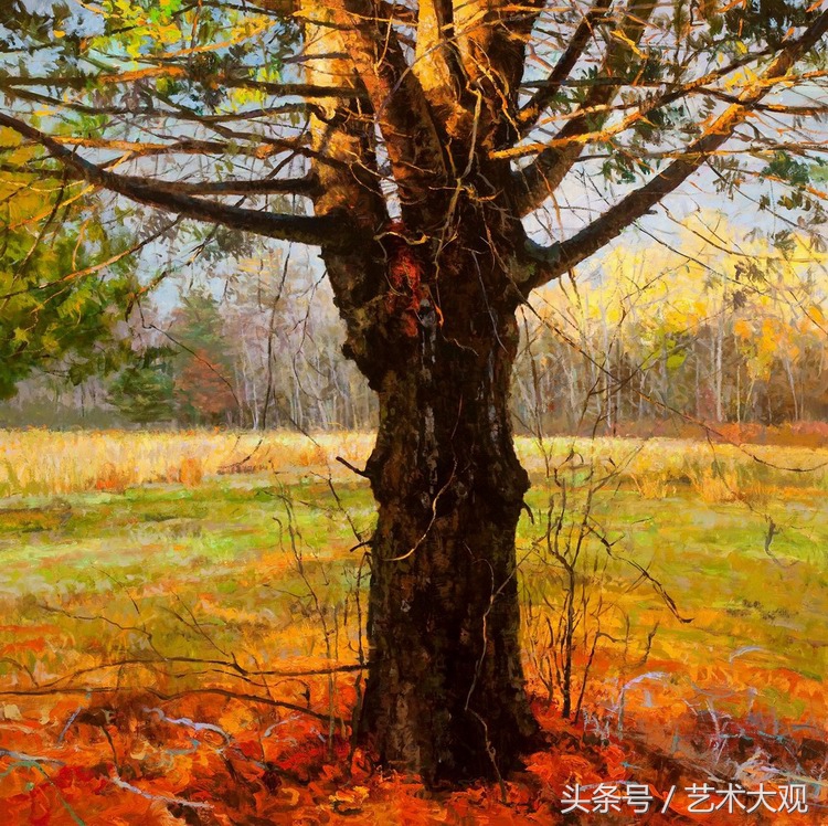 傅大力油画风景写生视频,张冬峰油画风景写生视频