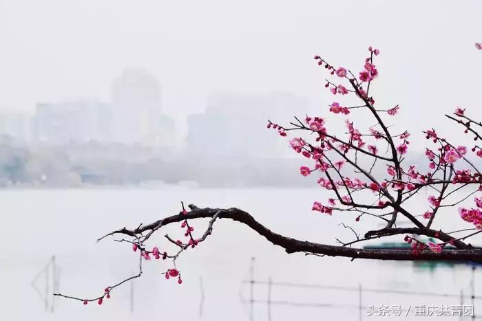 人间最美是初春,人间最美的不过是春天