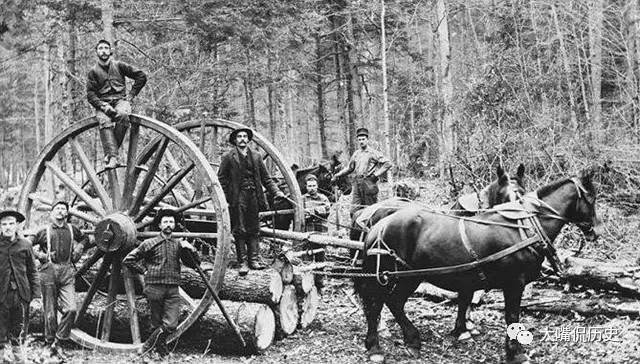 俄罗斯人哭晕！揭秘俄罗斯为什么“白菜价”贱卖领土给美国？