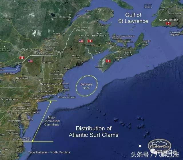鍖楁瀬璐濋粍閲戣礉,鍔犳嬁澶у寳鏋佽礉鎺ㄨ崘