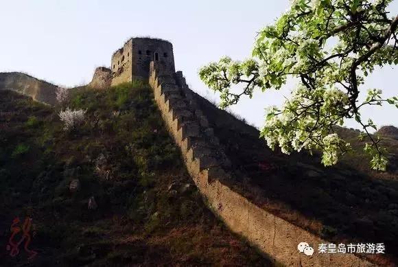 给所有秦皇岛人,这里有一份春天请你查收!