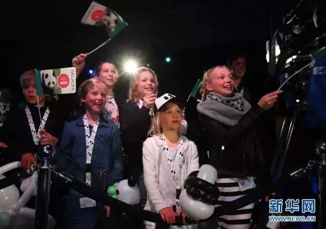 荷兰迎接中国大熊猫,大熊猫在国外有警车开道