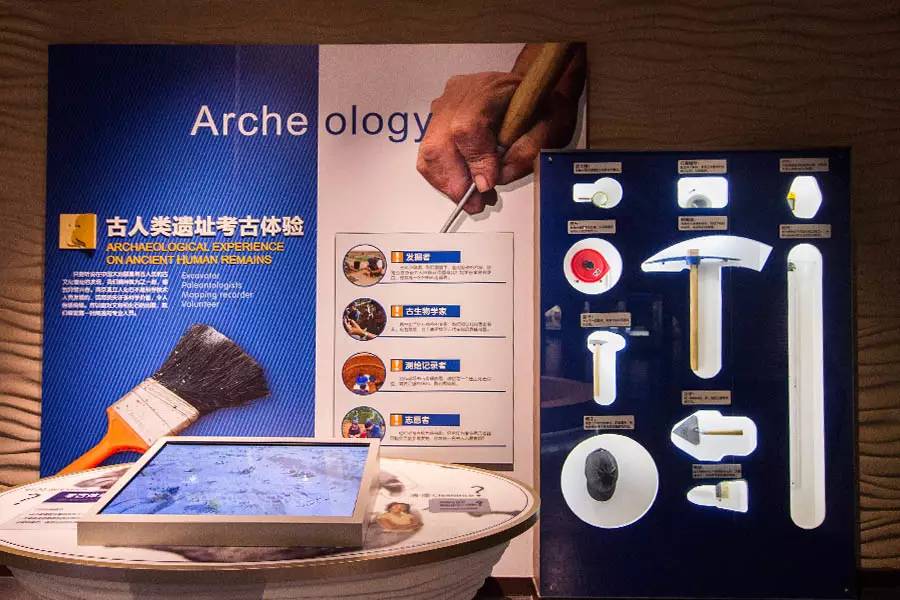 探寻人类的起源之谜,探寻人类祖先的奥秘