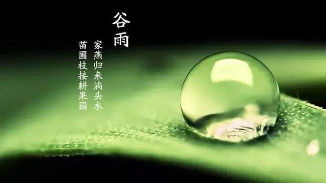二十四节气之谷雨春落幕夏将至,二十四节气谷雨暮春