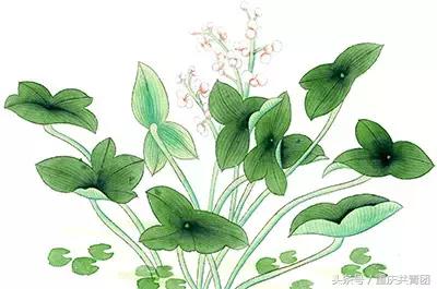 人间最美的不过是春天,人间最美是初春