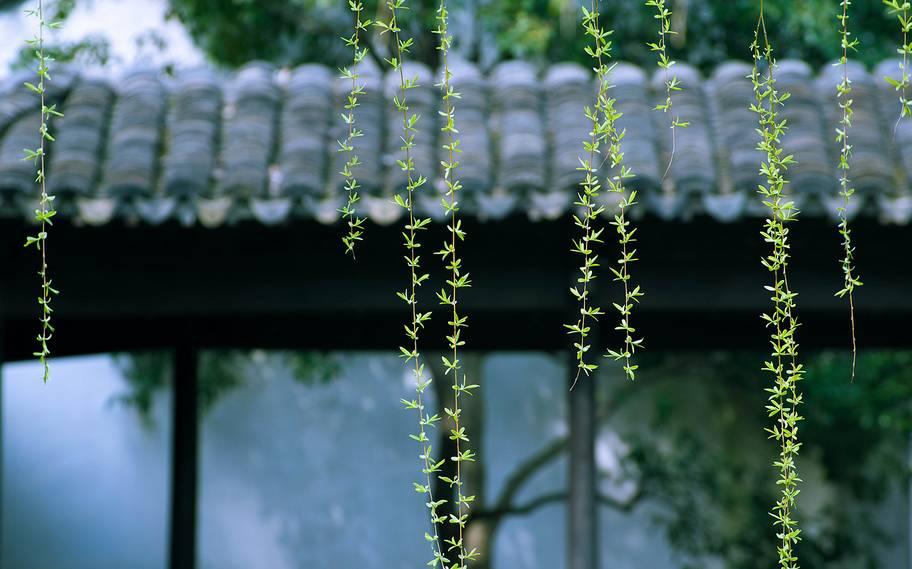 你有冷香丸吗?你还在谷雨过敏吗?