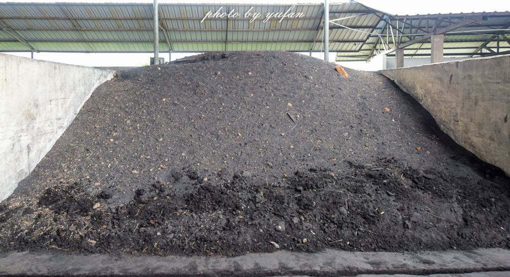 云端上的世外桃源，看看浇灌牛奶和土鸡蛋的有机乌龙茶长成啥样