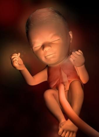 孕期做好各项检查的重要性,孕期做哪些检查能确保宝宝健康